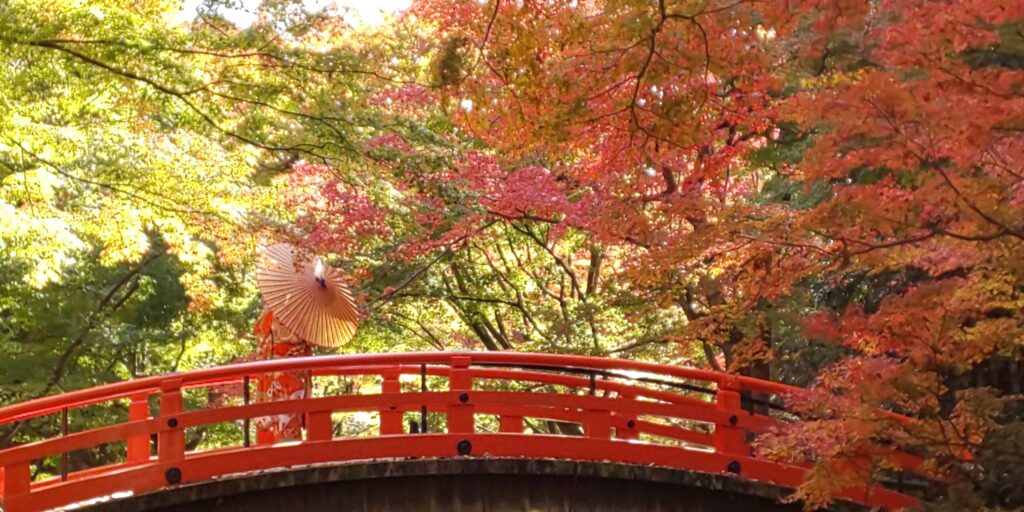 autumn-leaves-japan