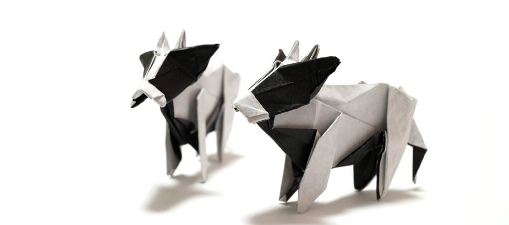 Origami
Japan