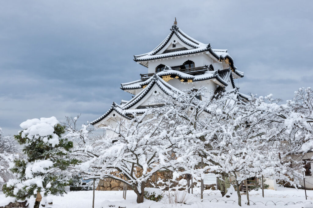Hikone Castle Japanes Castle
Japan