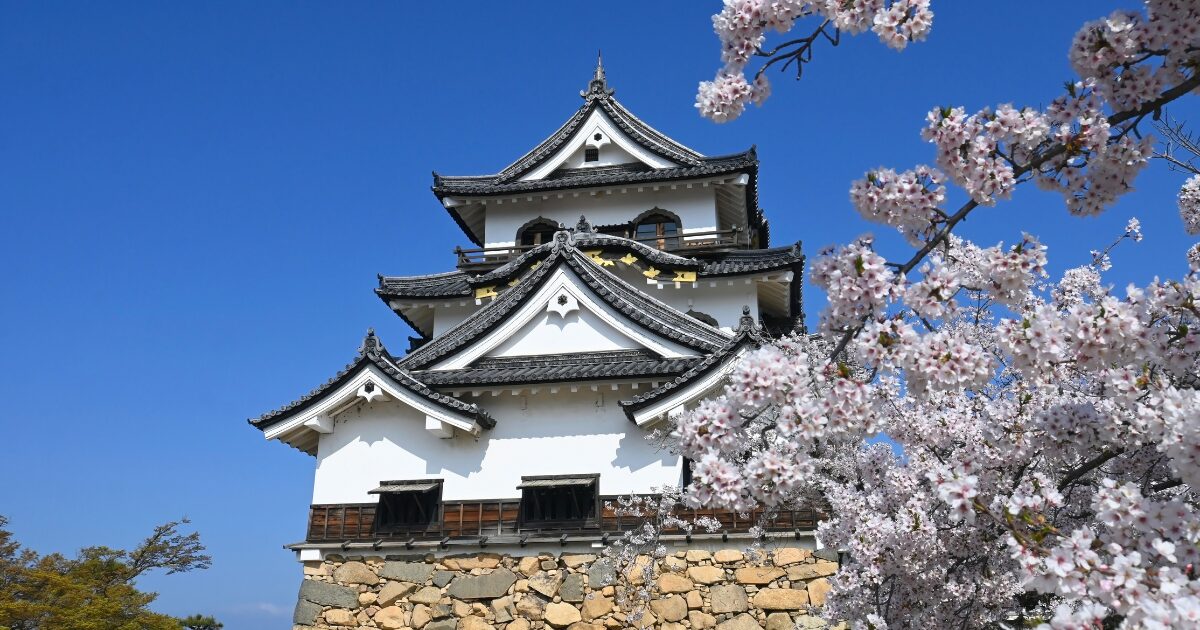 Hikone Castle Travel Guide│The White Walls of Honor and Harmony