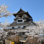 Inuyama Castle Travel Guide│Oldest Riverside Keep