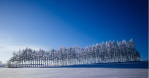 Travel to Hokkaido This Winter and Win! — HOKKAIDO LOVE! Winter Travel Campaign 2025
