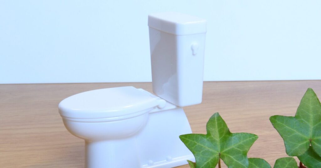 Curiosities of Japan: Why Japanese Toilets Are So Advanced