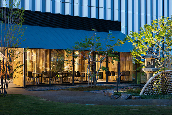 Matcha Sweets Japan Tokyo