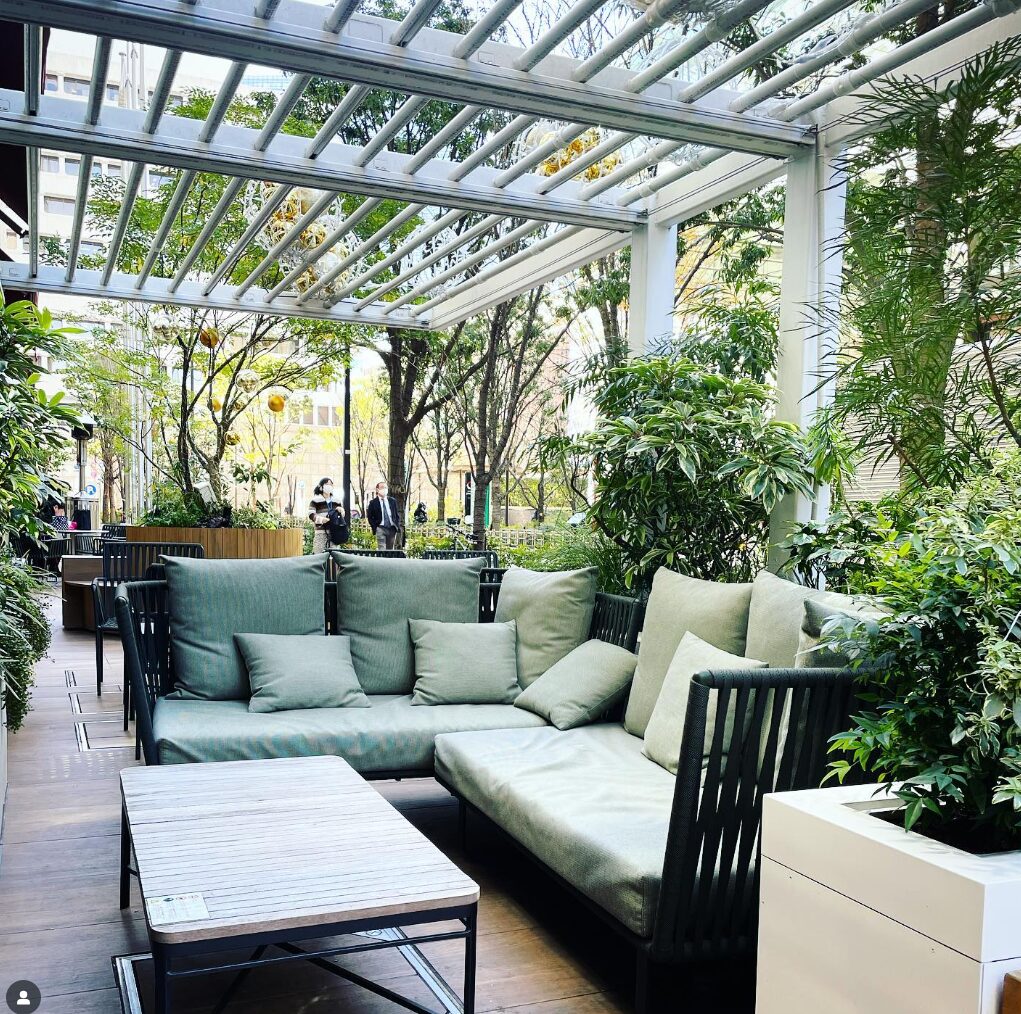 Matcha Sweets Japan Tokyo