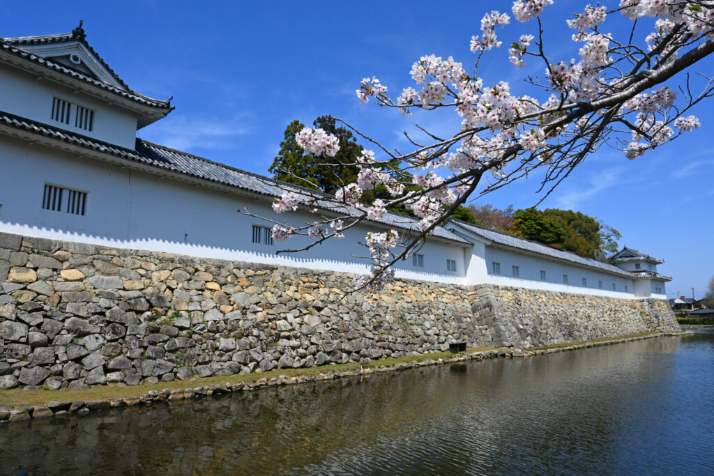 Hikone Castle Japanes Castle
Japan