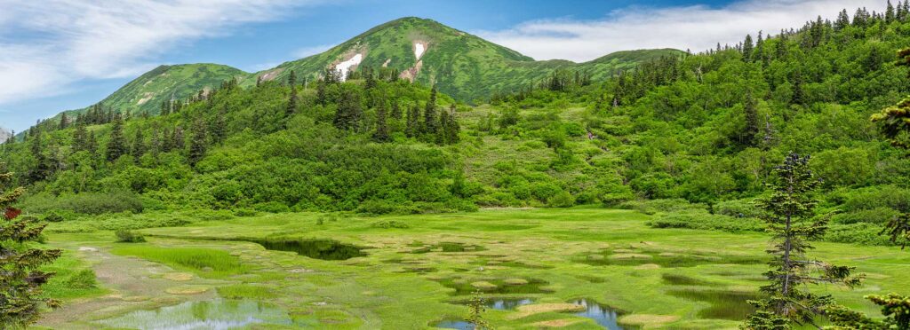 Hidden Gems
Sasagamine Highlands
Japan