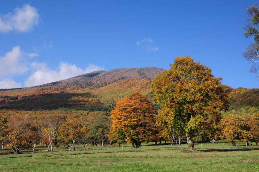 Hidden Gems
Sasagamine Highlands
Japan