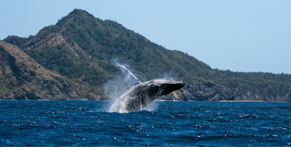 Ogasawara Islands (Tokyo)
Hidden Gems of Japan