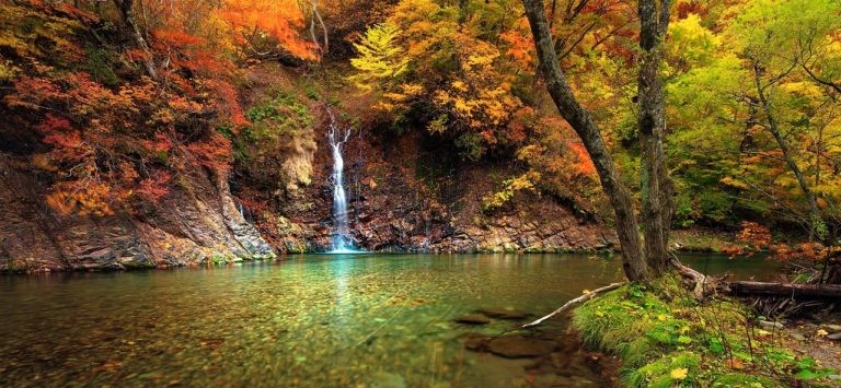 Shirakami Sanchi (Aomori & Akita)
Hidden Gems of Japan