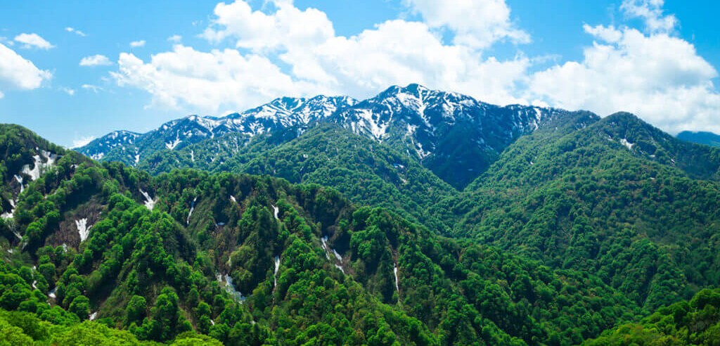 Shirakami Sanchi (Aomori & Akita)
Hidden Gems of Japan