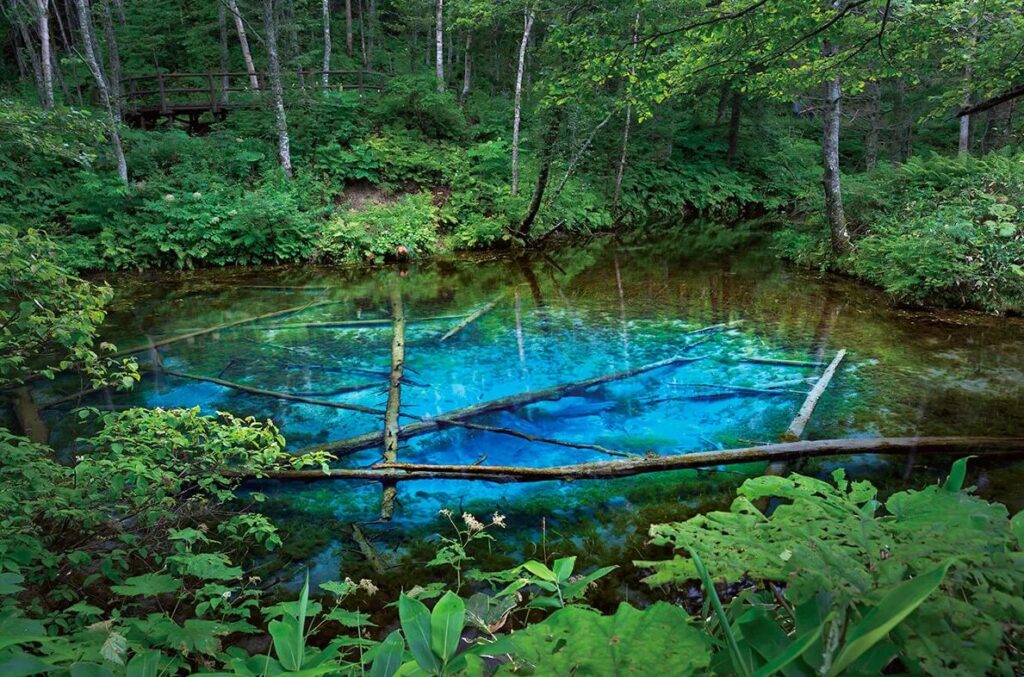 Kaminoko Pond (Hokkaido)
Hidden Gems of Japan