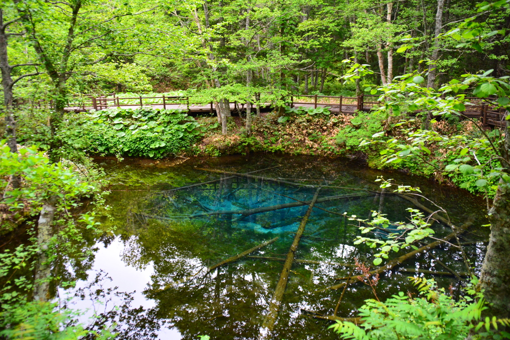 Kaminoko Pond (Hokkaido)
Hidden Gems of Japan