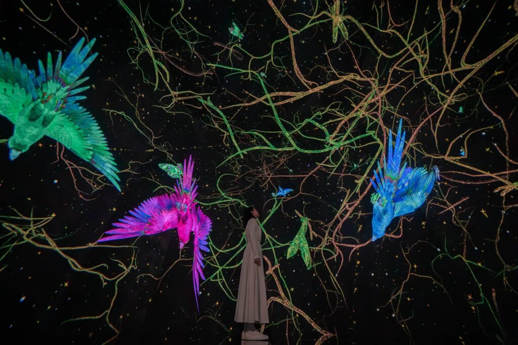 teamLab Planets TOKYO