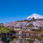 Living with Mount FujiThe Mountain in the Background of Everyday Life