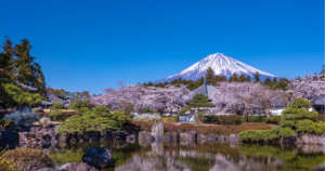 Living with Mount FujiThe Mountain in the Background of Everyday Life