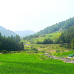 Beyond Nagoya: Discovering Aichi’s Quiet Hidden Gems