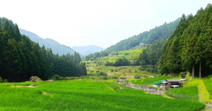 Beyond Nagoya: Discovering Aichi’s Quiet Hidden Gems