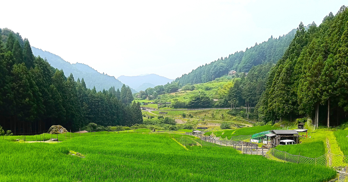 Beyond Nagoya: Discovering Aichi’s Quiet Hidden Gems