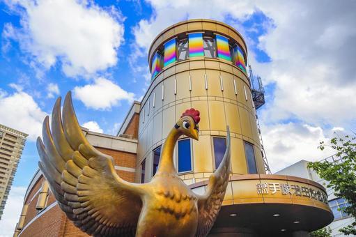 宝塚歌劇　タカラヅカ　Takarazuka Revue