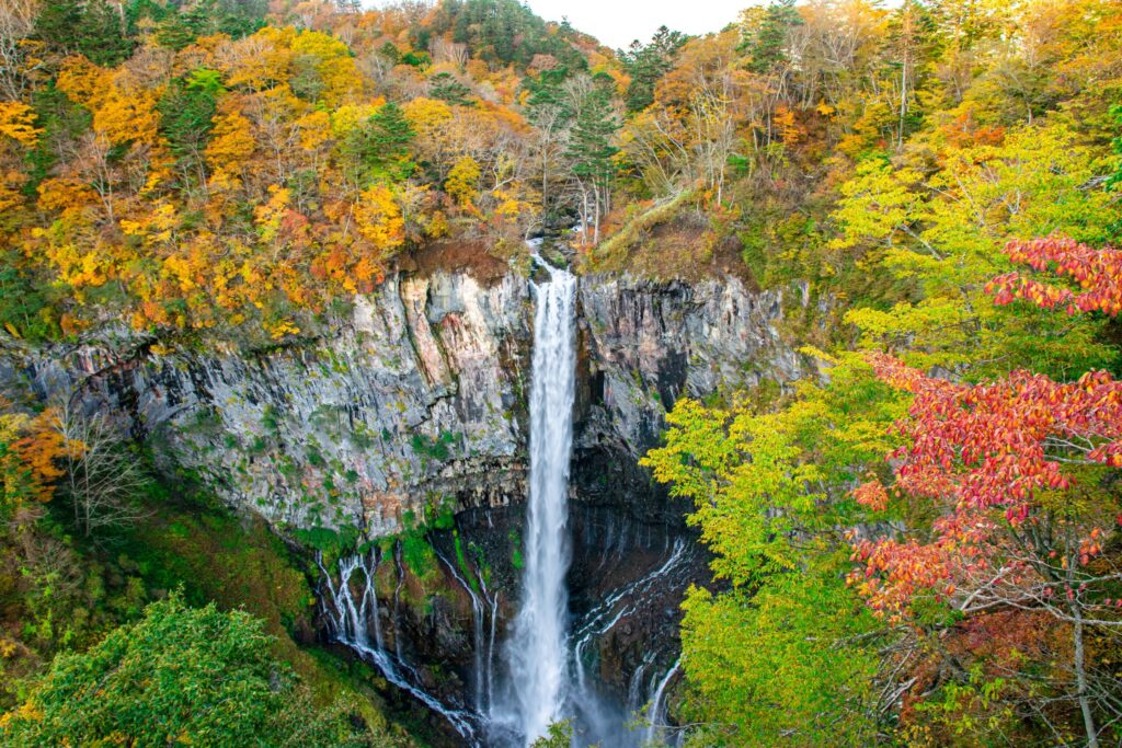紅葉　おすすめ