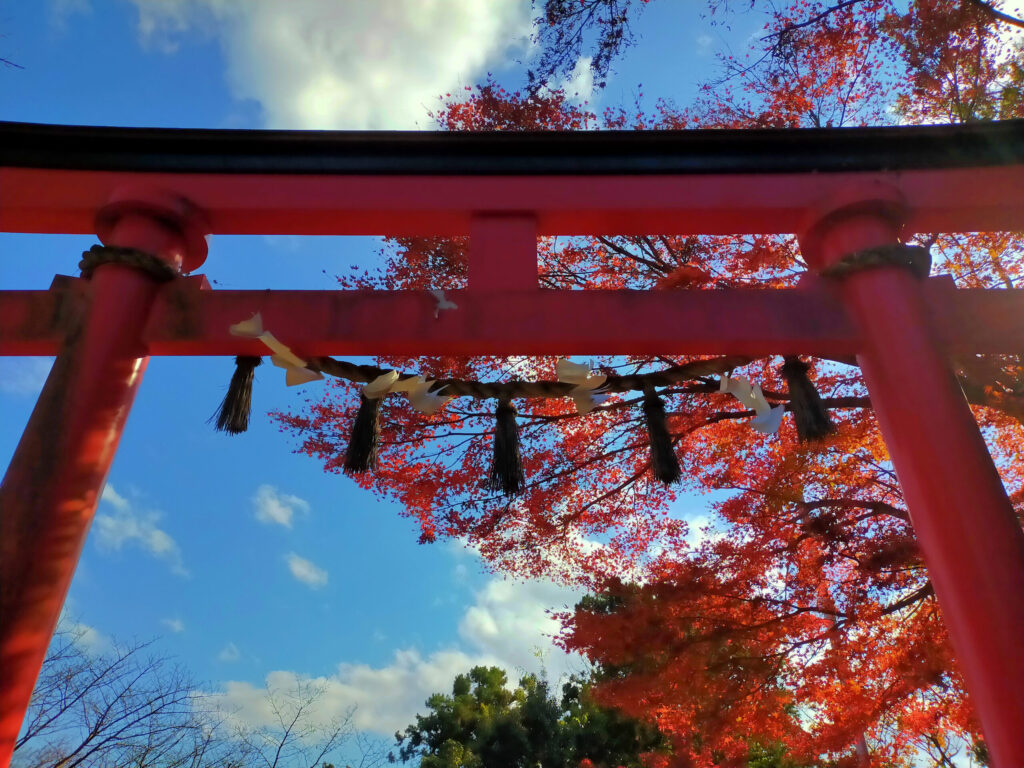 紅葉　おすすめ