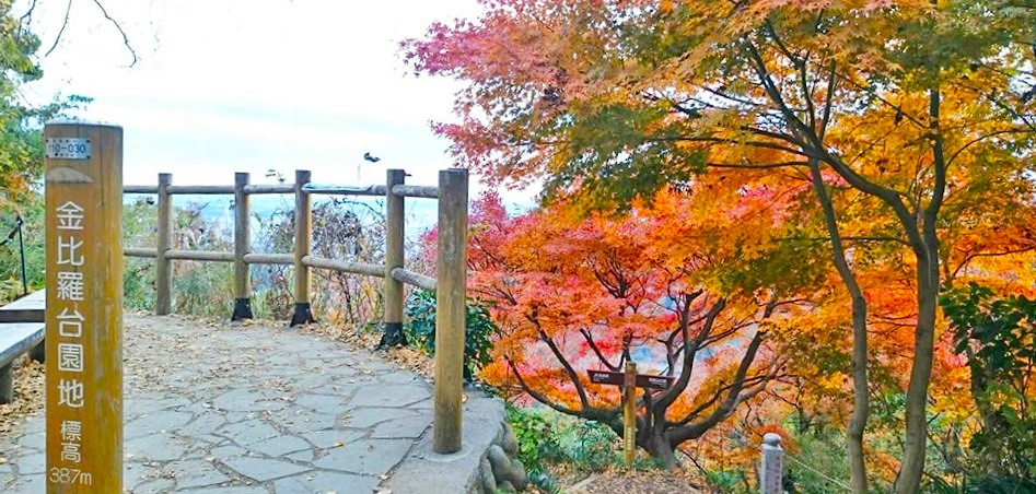 紅葉　おすすめ