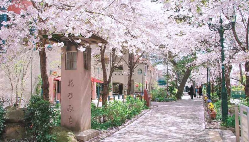 宝塚歌劇　タカラヅカ　Takarazuka Revue