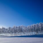 冬の北海道へ旅して当たる！HOKKAIDO LOVE! プレゼントキャンペーン2025