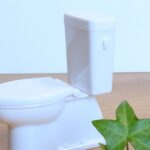 日本のトイレ 文化 ― 清潔さと革新が生んだ日常の美学