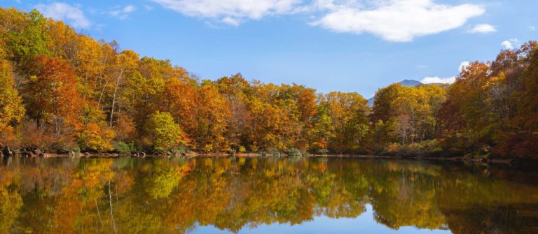 秘境　絶景
笹ヶ峰高原と乙見湖