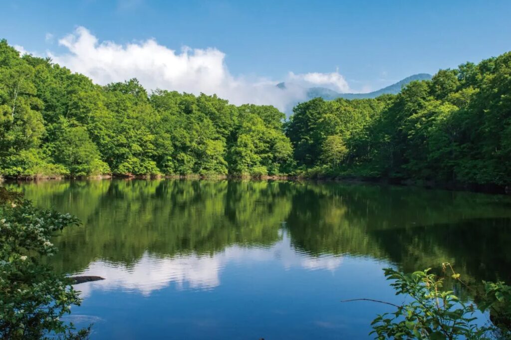 秘境　絶景
笹ヶ峰高原と乙見湖