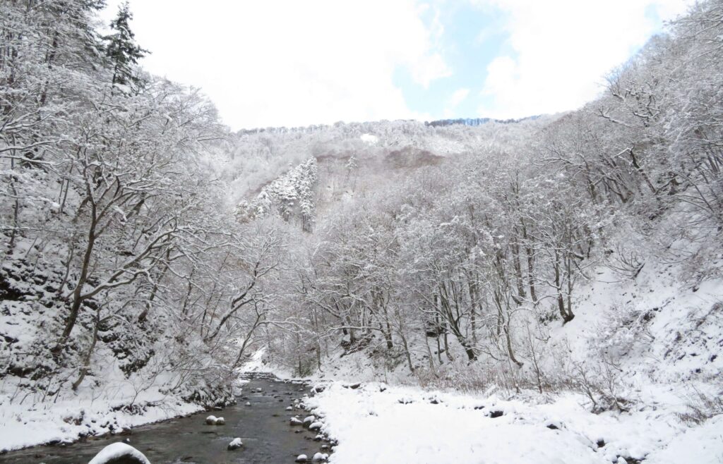 白神山地（青森県・秋田県）
日本の秘境