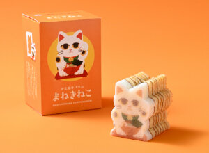 新横浜ラーメン博物館
ラー博
Shin-Yokohama Ramen Museum