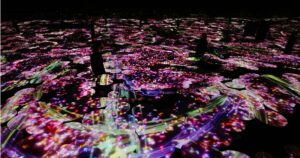 東京を楽しむ！teamLab Borderless（麻布台ヒルズ）｜地図のない美術館の回り方・準備と見どころ