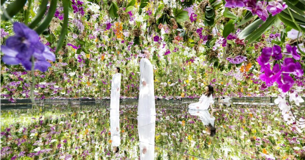 東京を楽しむ！teamLab Planets TOKYO｜水に入る没入展示・準備と見どころ