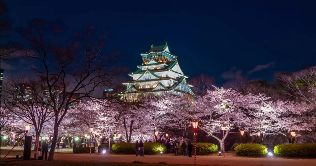 大阪城公園　桜
