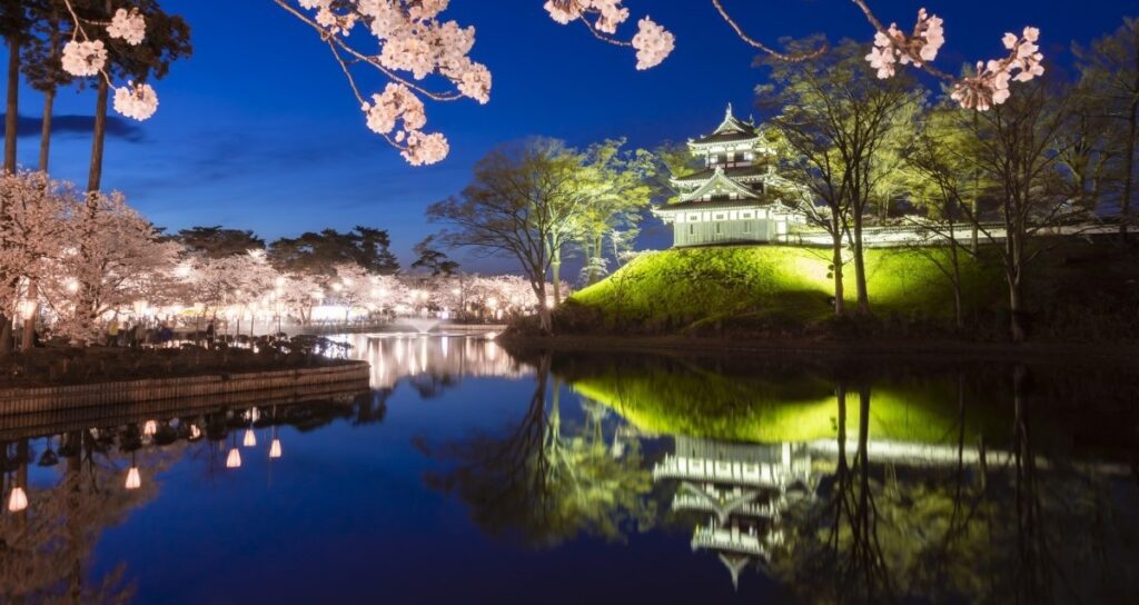 高田城址公園　桜